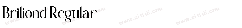 Briliond Regular字体转换 Briliond Regular字体转换